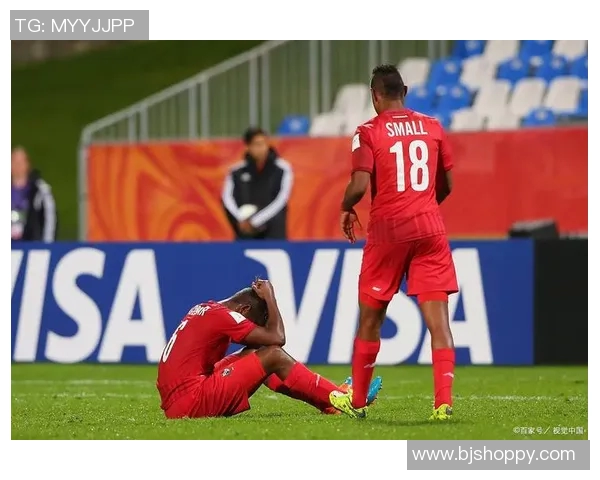 飞火流星足球：点燃激情与梦想的绿茵场传奇之旅